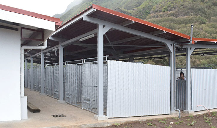 Chenil-fourrière sur Punaauia - Tahiti