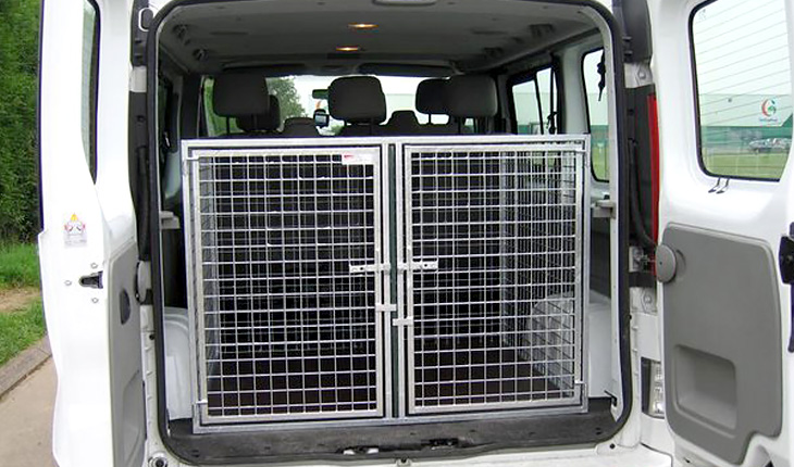 Aménagement grandes races Renault Trafic