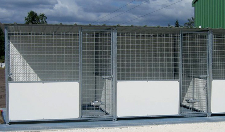 Pension canine de Saint Savin (33) - Façades des boxes d'accueil