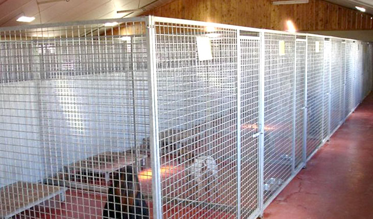 Cages de transport - Ribouchon & Fils