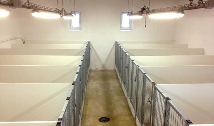 Nurserie - Domaine des Raines - 2