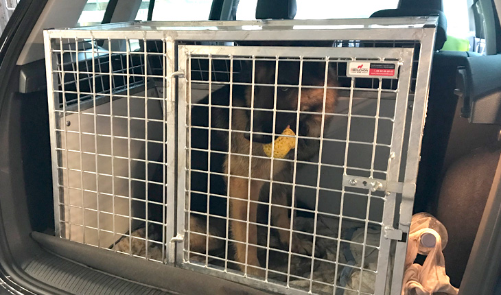 Cage simple grand volume Golf Volkswagen