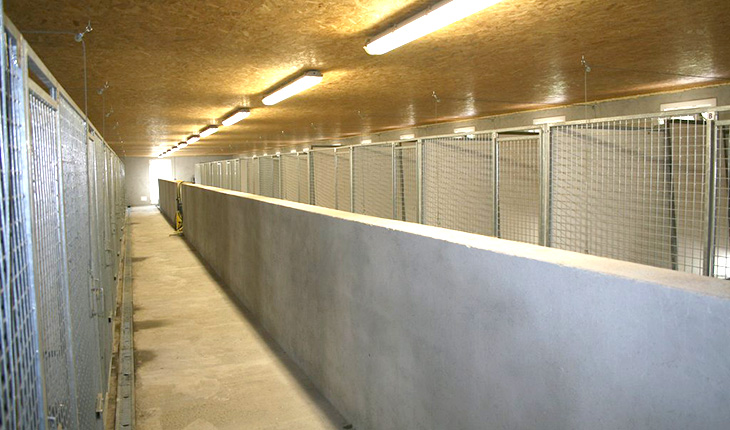 Pension du Tiocan (01) - Boxes intérieurs