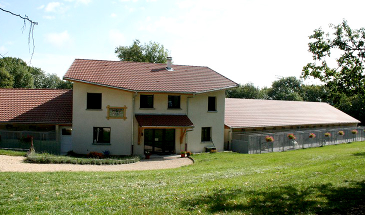 Pension canine du Tiocan (01)