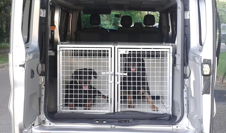 Cages simples Renault Trafic