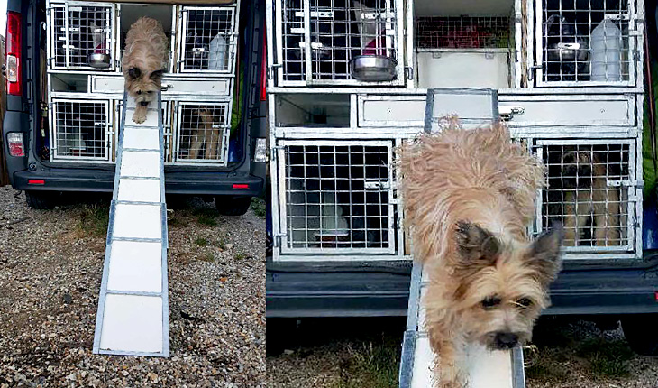 Rampe d'accès sur grand utilitaire