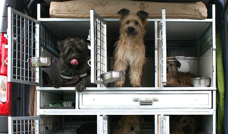 Cage 6 places avec cloison et rangement