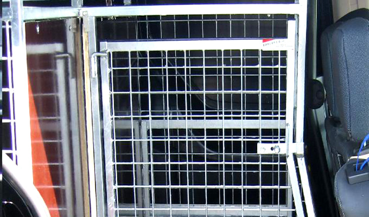 Aménagement taxi canin - Accès porte latérale