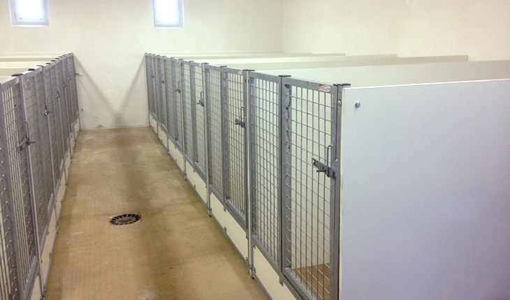 Nurserie - Domaine des Raines - 1