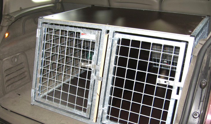 Cage double petites races Renault Scenic