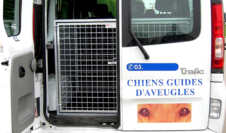 Aménagement véhicule chiens guides d'aveugles