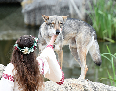Cinéma, parcs d'attractions...