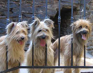 Niches, nurseries, détails produits...