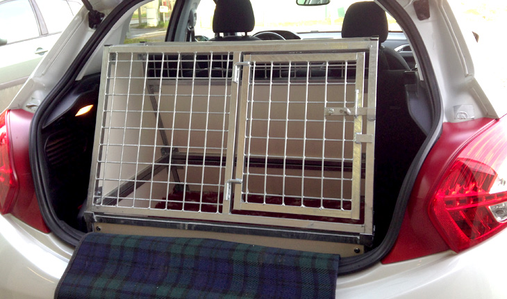 Cage simple Peugeot 208